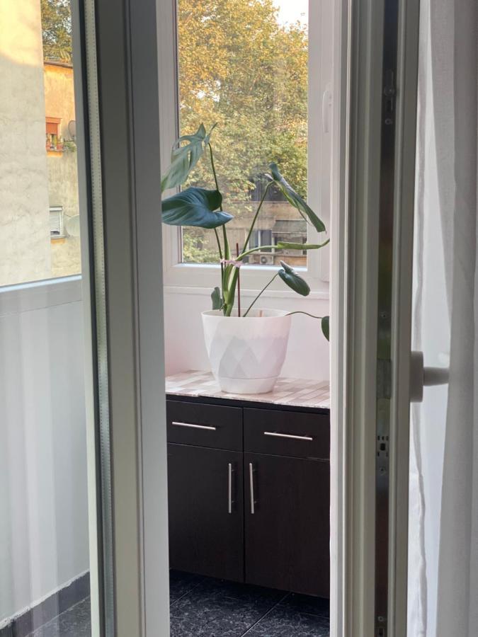 Central Welcoming Apartment In تيرانا المظهر الخارجي الصورة
