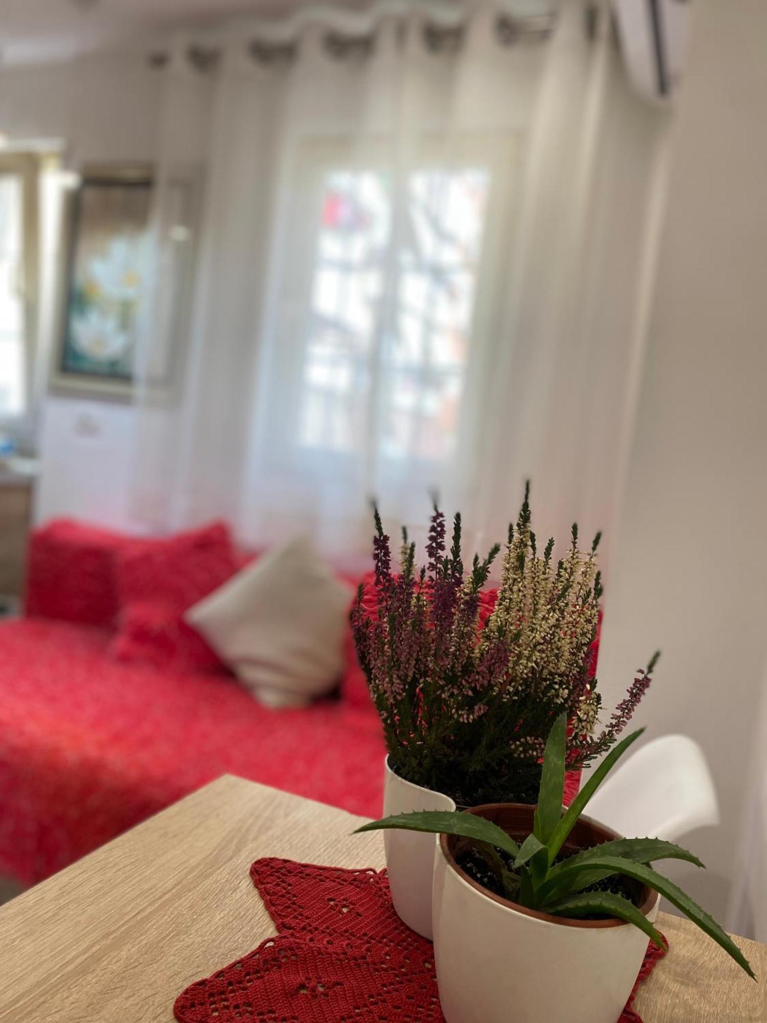 Central Welcoming Apartment In تيرانا المظهر الخارجي الصورة